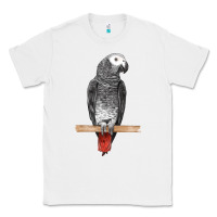 White African Gray Parrot Bird Classic Tee - LillyAllenDesigns