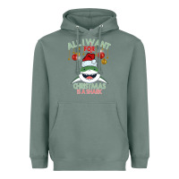 Sage All I Want For Christmas Is A Shark Heavyweight Hoodie - Bettercallsaul