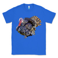 True Royal Bronze Turkey Classic Tee - LillyAllenDesigns