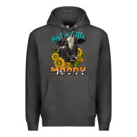 Charcoal Heather Just a Little Moody Premium Hoodie - texasbilliewilder