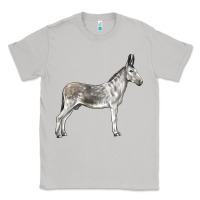 Moon Dust Andalusian Donkey Classic Tee - LillyAllenDesigns
