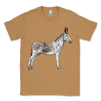 Toasted Coconut Andalusian Donkey Classic Tee - LillyAllenDesigns