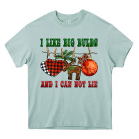 Arona i like big bulbs and i can not lie Heavy Core Tee - BarkalooDesign