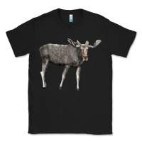 Black Moose Buck Deer Classic Tee - LillyAllenDesigns