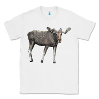 White Moose Buck Deer Classic Tee - LillyAllenDesigns