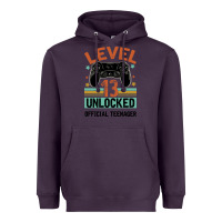 Plum Level 13 Unlocked Official Teenager 13th Birthday Heavyweight Hoodie - Bettercallsaul