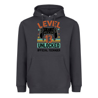 Smoke Level 13 Unlocked Official Teenager 13th Birthday Heavyweight Hoodie - Bettercallsaul