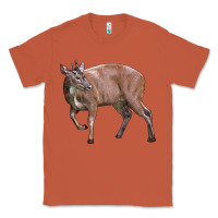 Copper Red Brocket Buck Deer Classic Tee - LillyAllenDesigns
