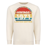 Sandshell Vintage 1971 Limited Premium Sweatshirt - Bettercallsaul