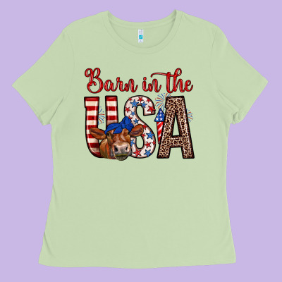 Barn In The Usa Ladies Tee Designed By Zillion Design Studio