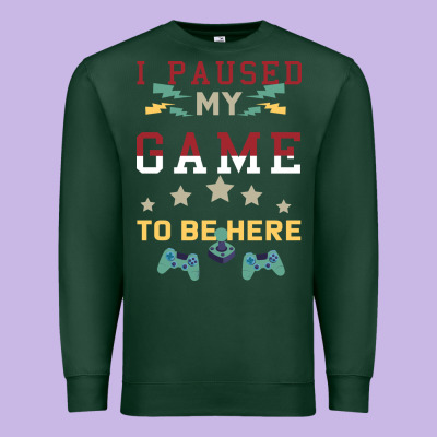 I Paused My Game To Be Here Premium Sweatshirt Designed By Bettercallsaul
