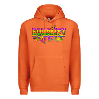 Equality Hurts No One Premium Hoodie | Teevron