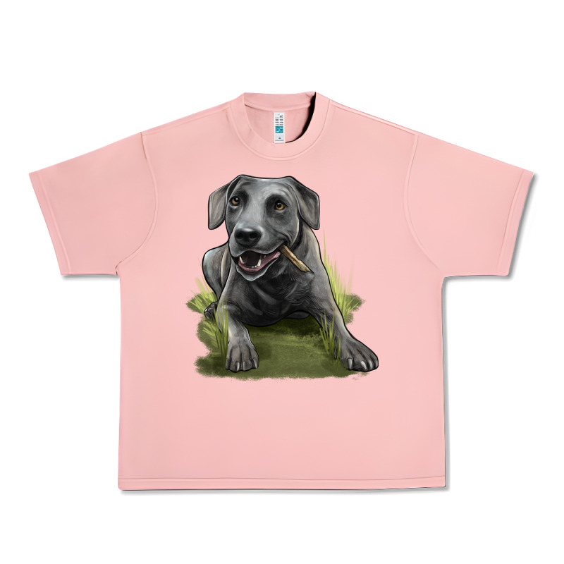 Texas Blue Lacy Dog Urban Heavy Tee by LillyAllenDesigns | Teevron