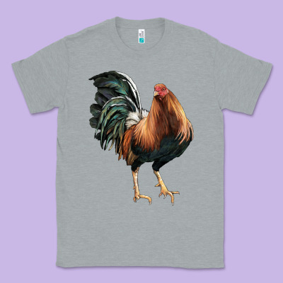 American Game Rooster Classic Tee Designed By Lillyallendesigns