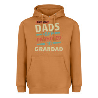 Meerkat Only Great Dads Get Promoted To Grandad Heavyweight Hoodie - Bettercallsaul