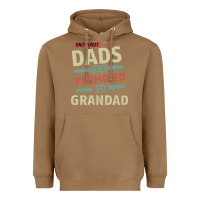 Toasted Coconut Only Great Dads Get Promoted To Grandad Heavyweight Hoodie - Bettercallsaul