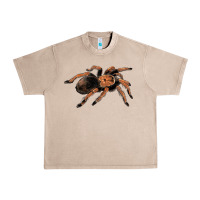 French Oak Mexican Red Knee Tarantula Urban Heavy Tee - LillyAllenDesigns