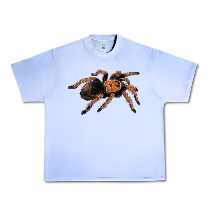 Mexican Red Knee Tarantula Urban Heavy Tee by LillyAllenDesigns | Teevron