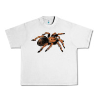 Lunar Rock Mexican Red Knee Tarantula Urban Heavy Tee - LillyAllenDesigns