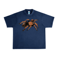 Navy Mexican Red Knee Tarantula Urban Heavy Tee - LillyAllenDesigns