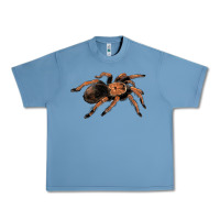 Pebble Blue Mexican Red Knee Tarantula Urban Heavy Tee - LillyAllenDesigns