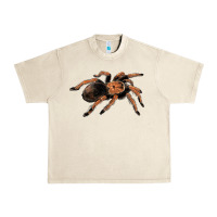 Sandshell Mexican Red Knee Tarantula Urban Heavy Tee - LillyAllenDesigns
