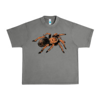 Tornado Mexican Red Knee Tarantula Urban Heavy Tee - LillyAllenDesigns