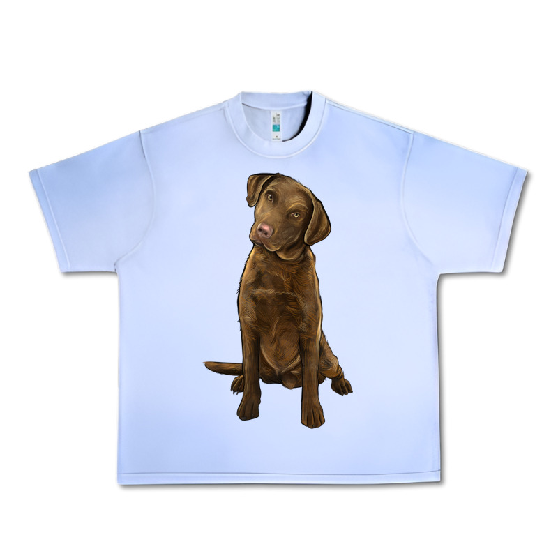 Chesapeake Bay Retriever Urban Heavy Tee by LillyAllenDesigns | Teevron