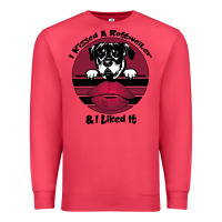 Cardinal I kissed a dog and I like it Premium Sweatshirt - Bettercallsaul