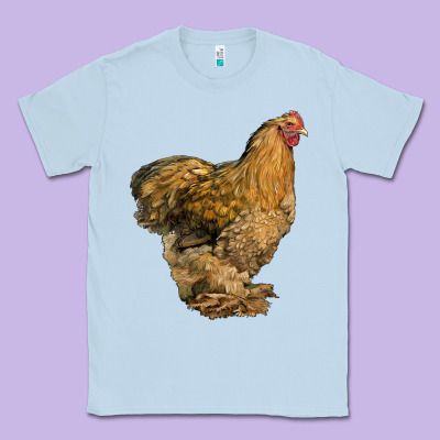 Cochin Chicken Classic Tee Designed By Lillyallendesigns