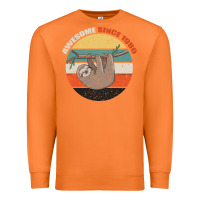 Carrot Born in 1980 Womens 1980 Premium Sweatshirt - Bettercallsaul