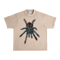 French Oak Pink Toe Tarantula Urban Heavy Tee - LillyAllenDesigns