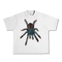 Lunar Rock Pink Toe Tarantula Urban Heavy Tee - LillyAllenDesigns