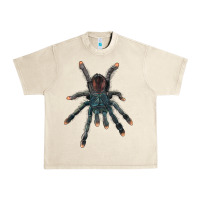 Sandshell Pink Toe Tarantula Urban Heavy Tee - LillyAllenDesigns
