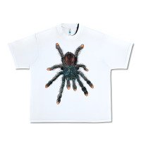 White Pink Toe Tarantula Urban Heavy Tee - LillyAllenDesigns