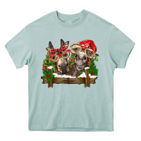 Arona Christmas donkeys Heavy Core Tee - BarkalooDesign