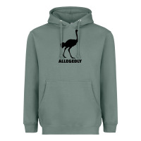 Sage ALLEGEDLY FUNNY OSTRICH Heavyweight Hoodie - Bettercallsaul