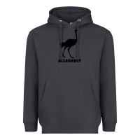 Smoke ALLEGEDLY FUNNY OSTRICH Heavyweight Hoodie - Bettercallsaul