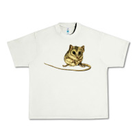 Pistachio Dunnart Urban Heavy Tee - LillyAllenDesigns