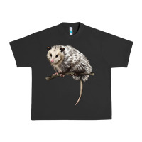 Pigment Black opossum Urban Heavy Tee - LillyAllenDesigns