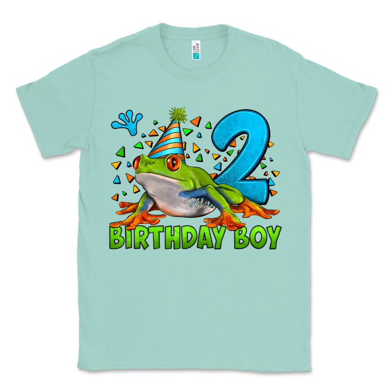 Birthday Boy Frog Age 2 Classic Tee by LillyAllenDesigns | Teevron