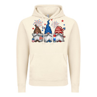Vintage Artic 4th of july gnomes Vintage Hoodie - Jasminsmagicworld