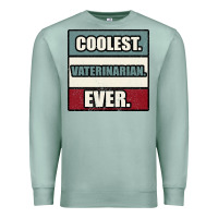 Seafoam coolest veterinarian ever Premium Sweatshirt - Bettercallsaul