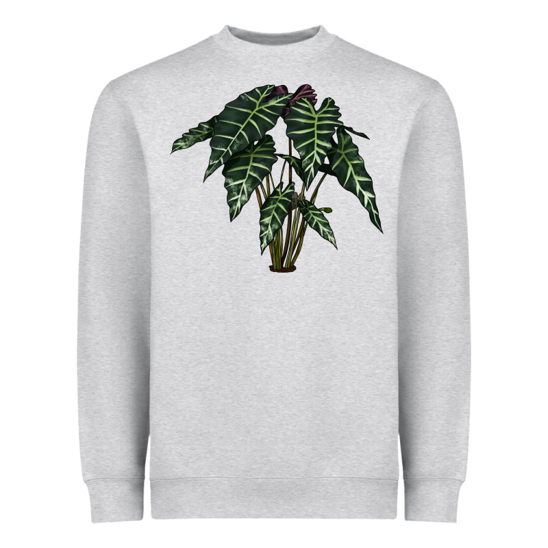 Amazon Elephant Ear Heavyweight Sweatshirt by LillyAllenDesigns | Teevron