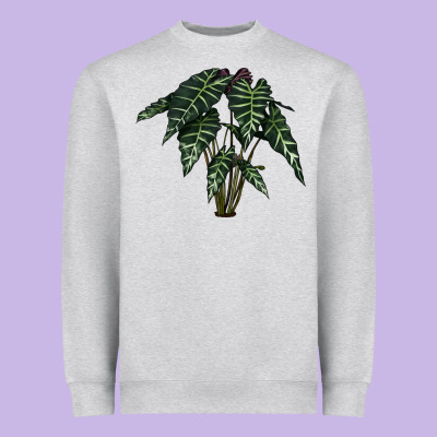 Amazon Elephant Ear Heavyweight Sweatshirt Designed By Lillyallendesigns