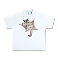 White sugar glider Urban Heavy Tee - LillyAllenDesigns