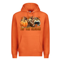 Carrot Tis' the season Football and light yellow helmet Premium Hoodie - NancyCooperArtShop