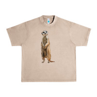 French Oak Meerkat Urban Heavy Tee - LillyAllenDesigns