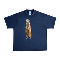 Navy Meerkat Urban Heavy Tee - LillyAllenDesigns