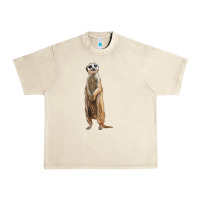 Sandshell Meerkat Urban Heavy Tee - LillyAllenDesigns